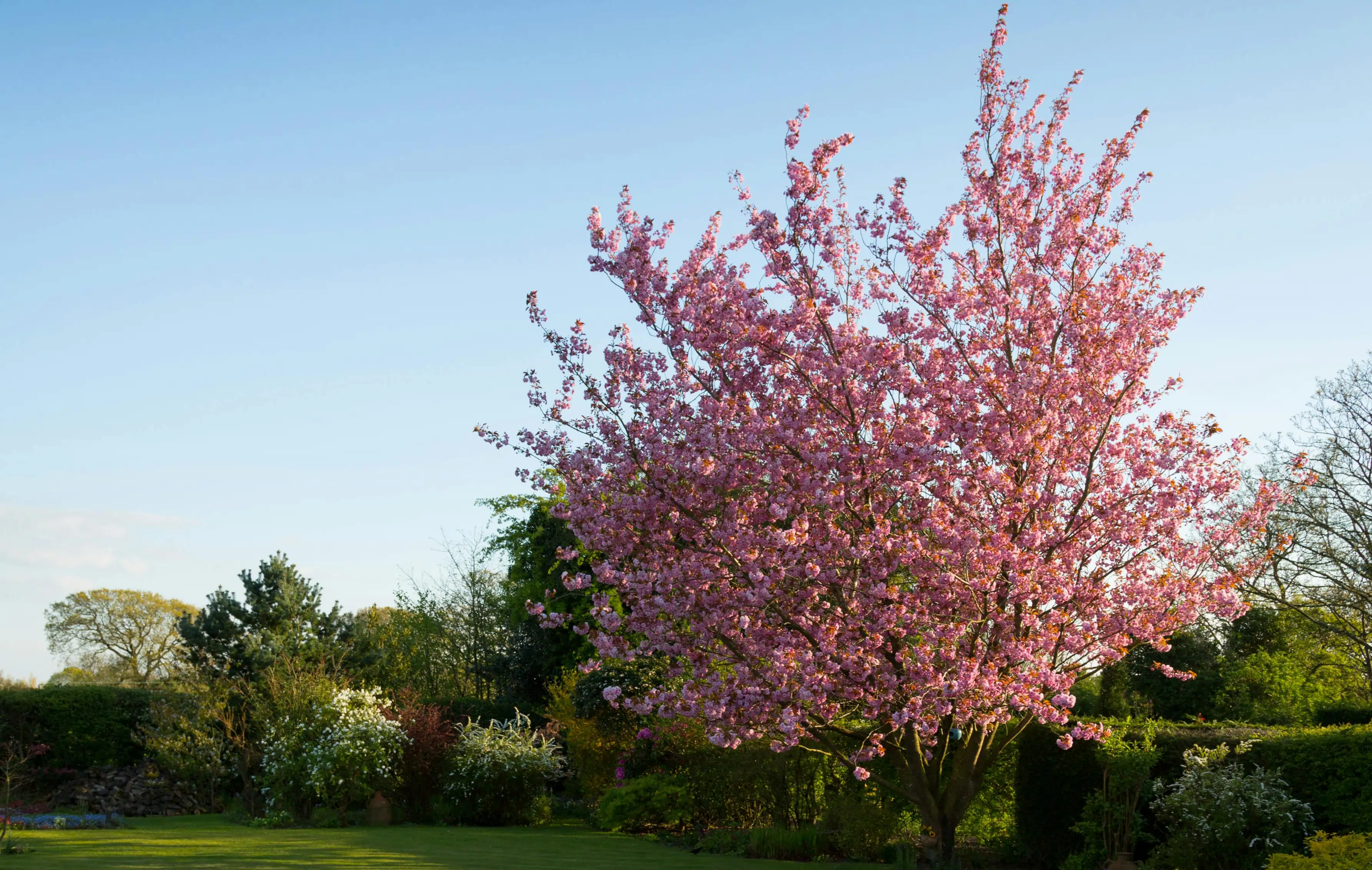 Garten- und Landschaftsbau